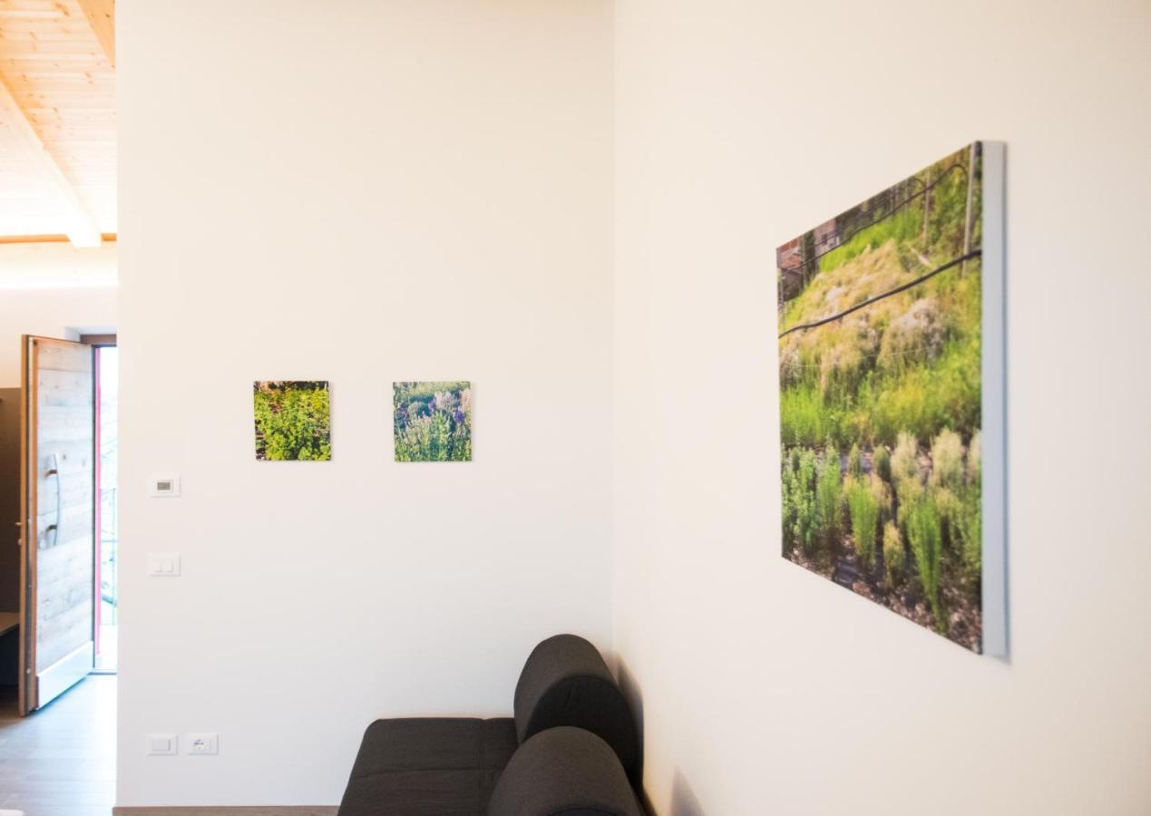8 Grappoli Agritur Villa Trento Dış mekan fotoğraf